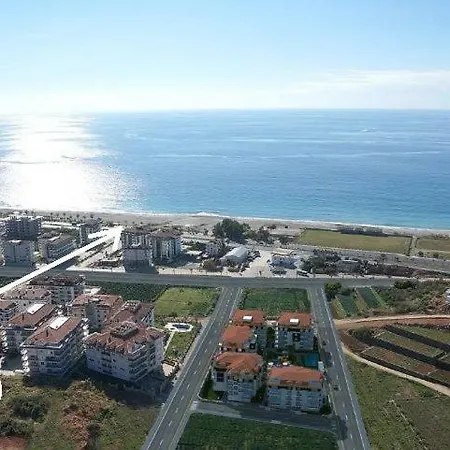 Markovic-kestel Sun