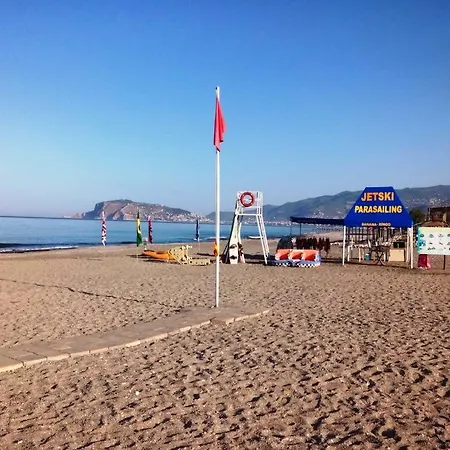Markovic-kestel Sun